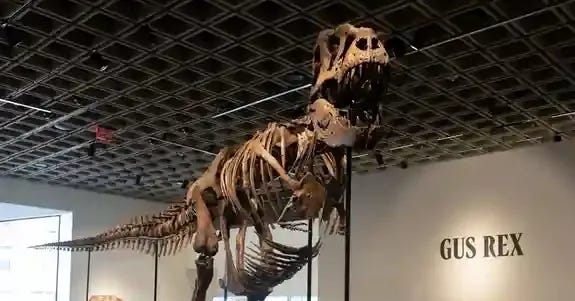 T. rex 'Gus' sells for record-breaking $50.1 million