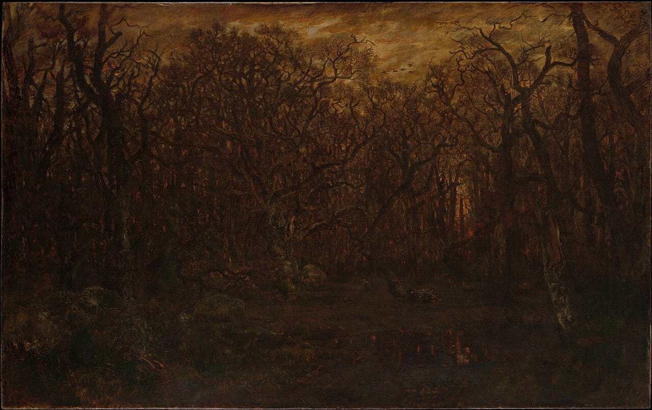 Bare winter trees stand against a low red sunset at the edge of a forest Bare winter trees stand against a low red sunset at the edge of a forest
