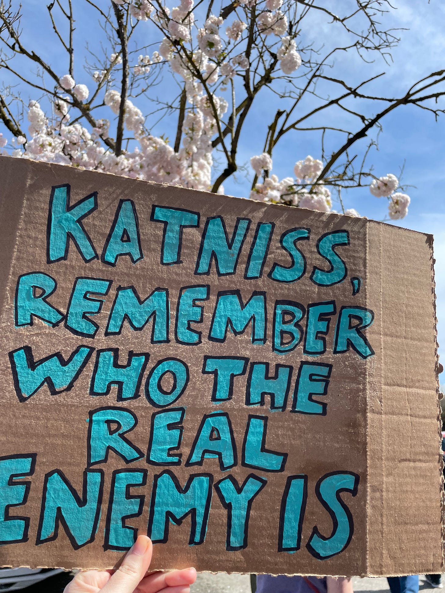 a cardboard sign in front of a blooming tree says katniss remember who the real enemy is