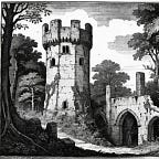 The Falcon's Children