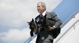 Bushes mourn death of pet dog - POLITICO