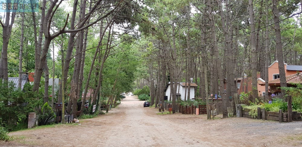 Mar Azul, bosque y playa | Blog Alquiler Argentina