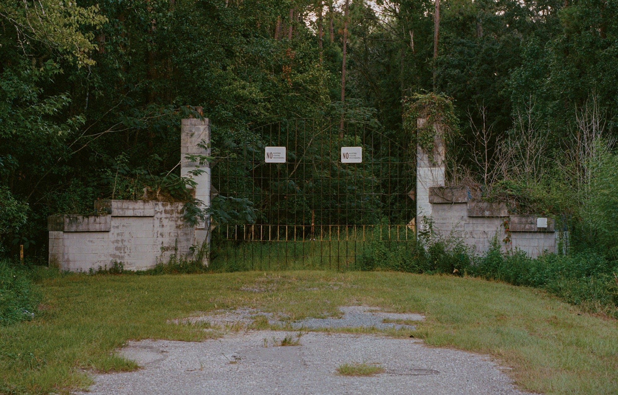 The Machine in the Garden - CLAY NEWS & VIEWS