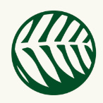 Artwork for Learn with Fern