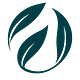 TL Global Insights