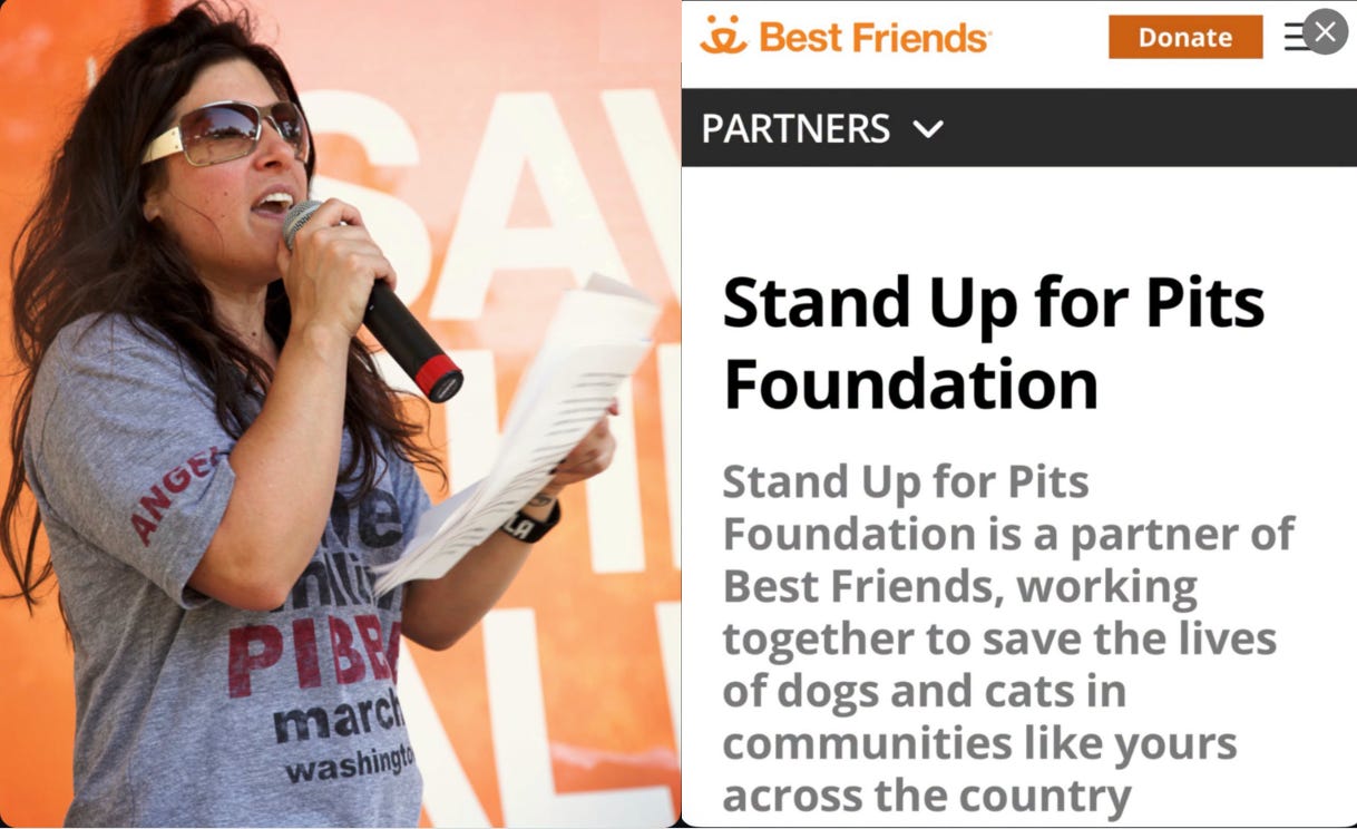 Rebecca Corry speaks into a microphone at an outdoor event beside a screenshot of Best Friends Animal Society’s page identifying Stand Up For Pits Foundation as a partner.