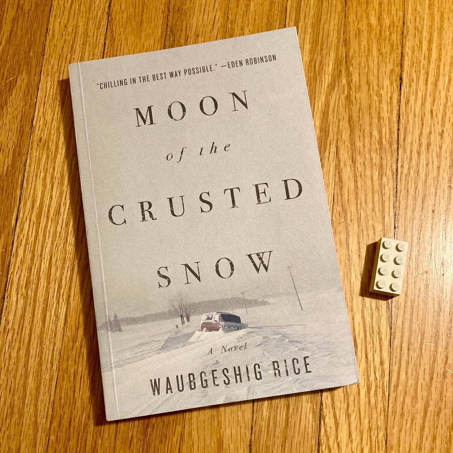 Book of the Week: Moon of the Crusted Snow — The Butterflies and Aliens  Library of Literary Eccentricities and Rarities