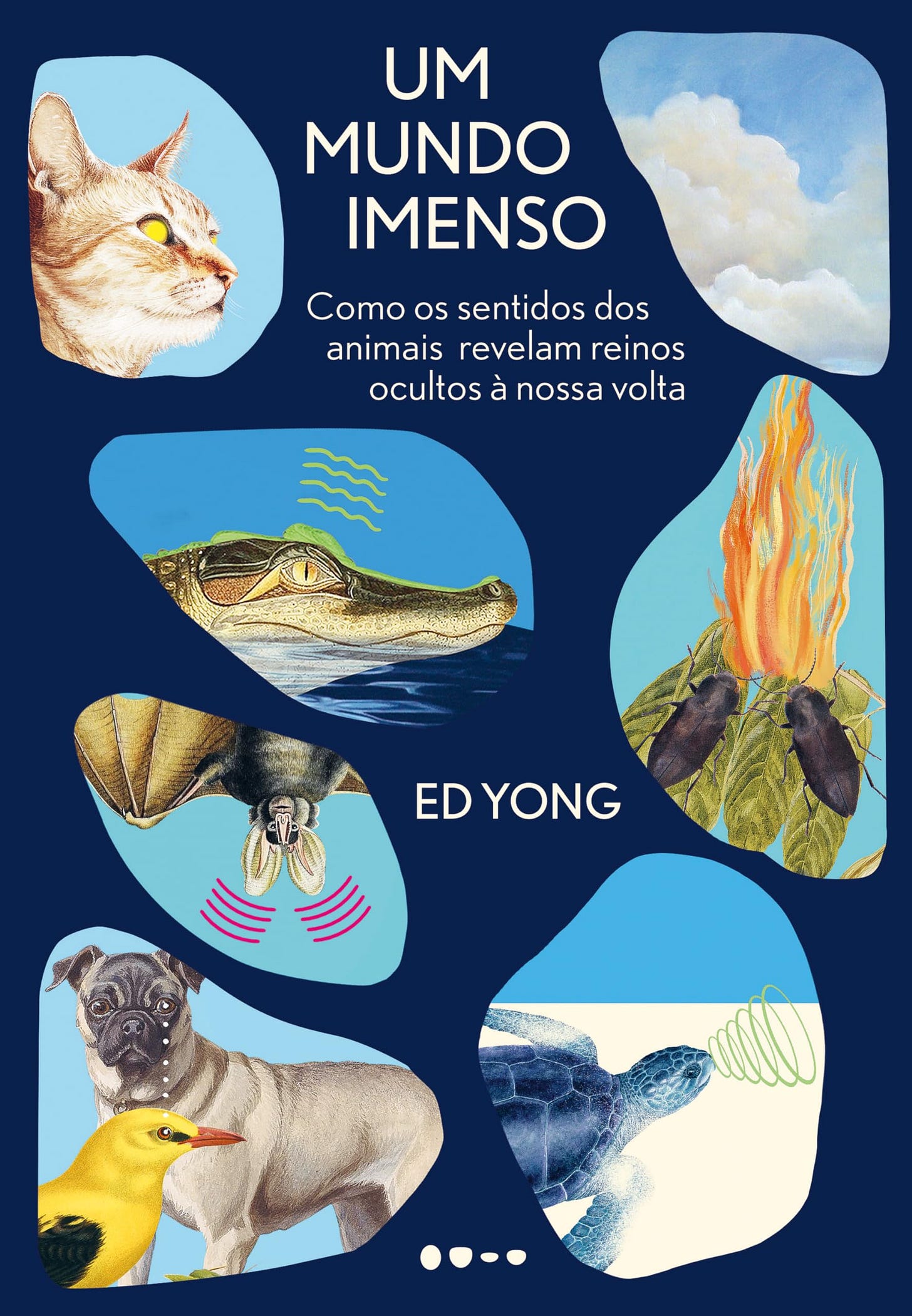 Um mundo imenso: Como os sentidos dos animais revelam reinos ocultos à nossa volta | Amazon.com.br Um mundo imenso: Como os sentidos dos animais revelam reinos ocultos à nossa volta | Amazon.com.br