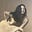 Pamela A Everett Goodman's avatar