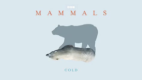 Mammals series: BBC Studios
