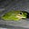 Jaymee Rainbird's avatar