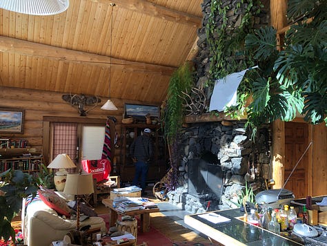 Massive geraniums in a windowed basement, jades and cacti in big windows, a monstera and hoya climbing a fireplace.
