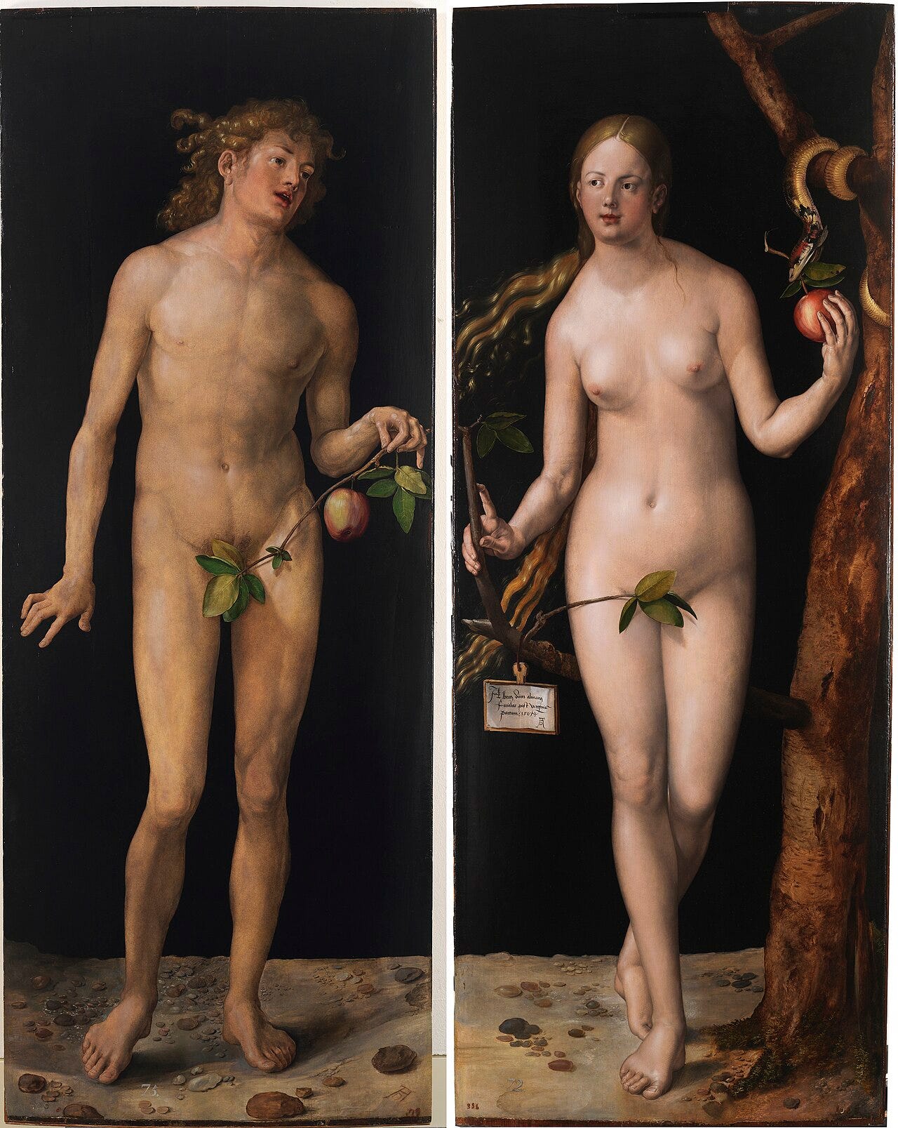 Albrecht Dürer, Adam and Eve, 1507 Albrecht Dürer, Adam and Eve, 1507