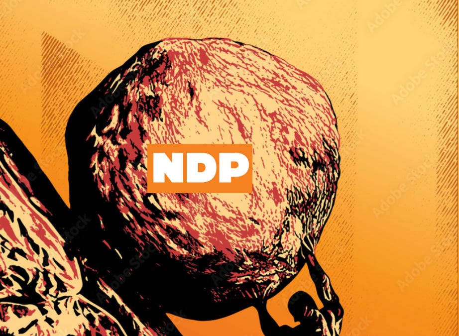 The Elephant in the NDP race