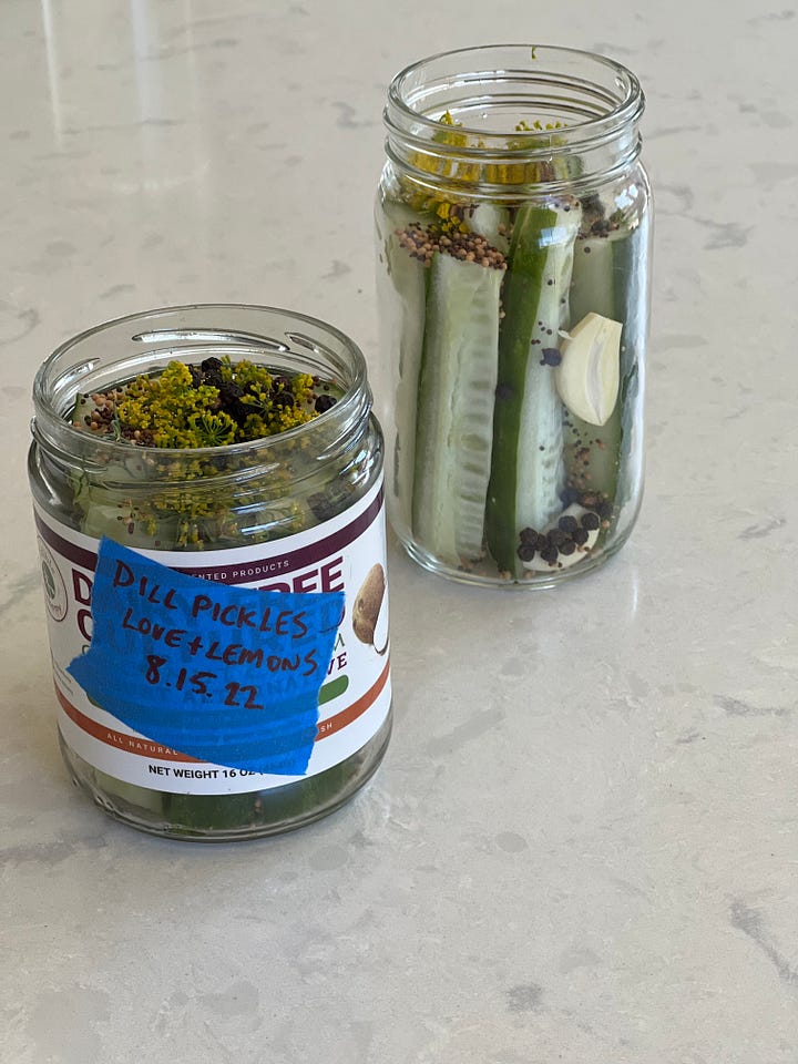 Homemade dill pickles
