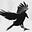 Raven's avatar