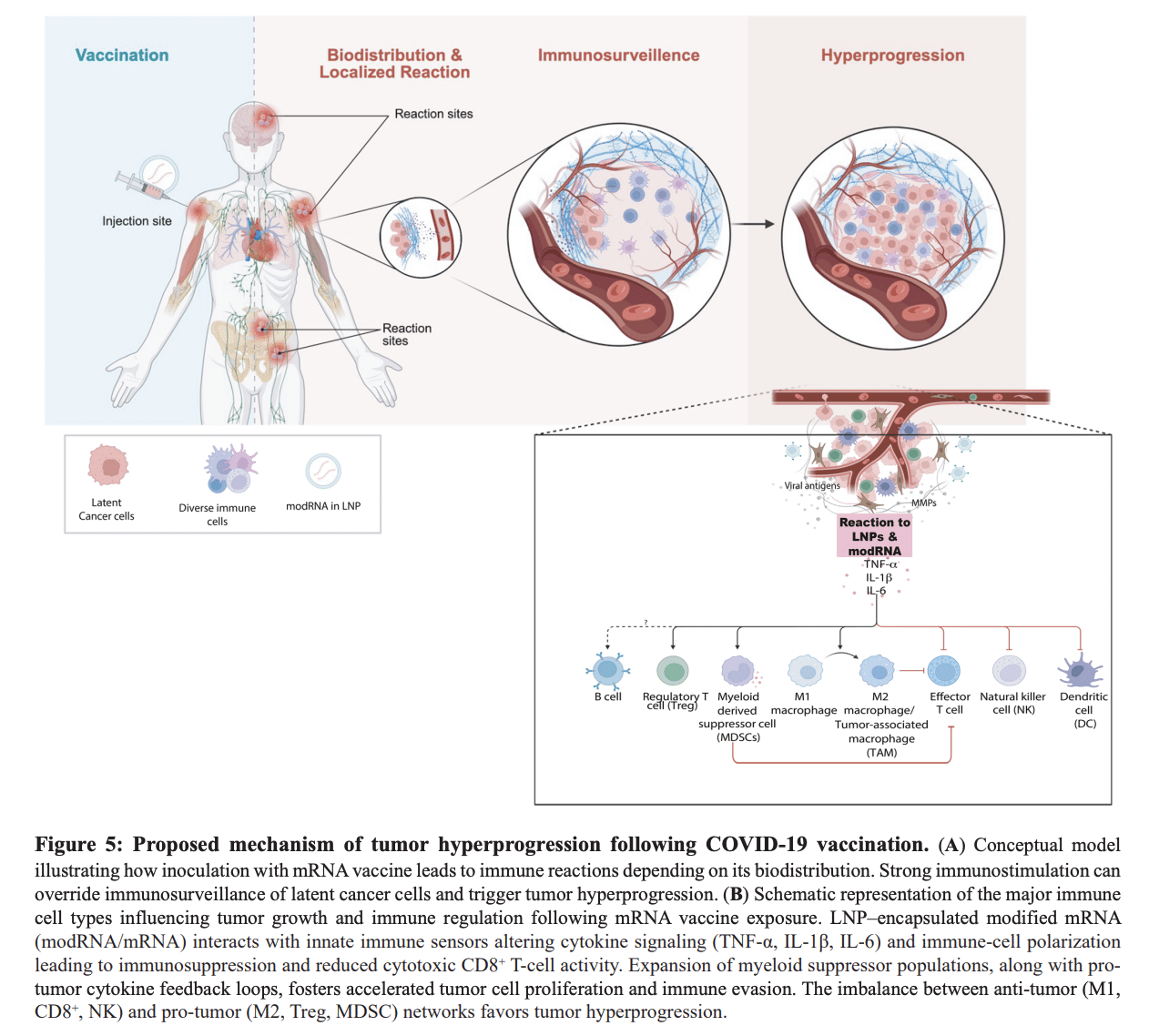 Figure 5 d'Oncotarget