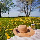 De zomer als herverbinding met de natuur