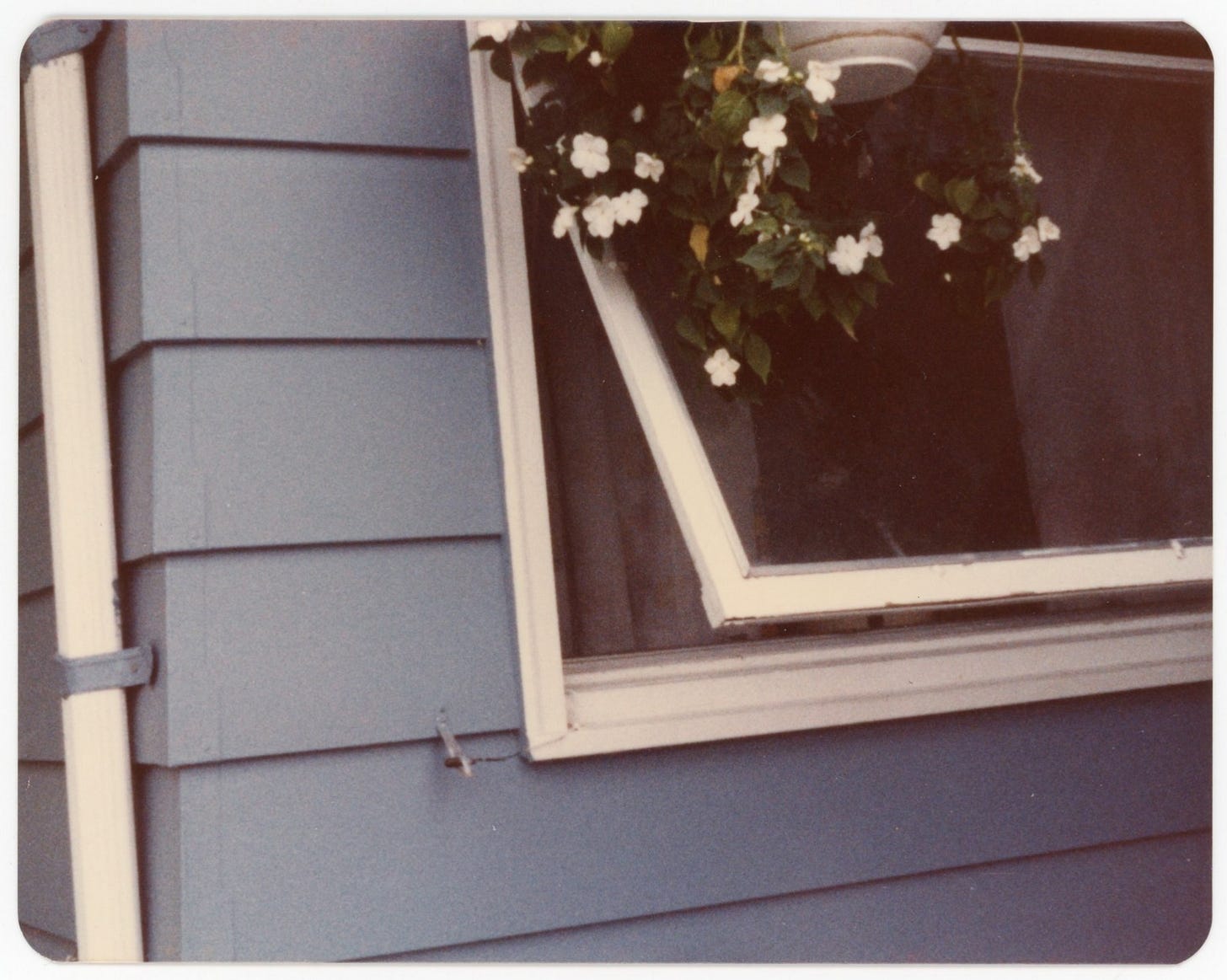 A slightly open window on a blue house with a flowerpot hanging just above. it is framed strangely off center and has a liminal quality to it. 