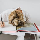 The Impact of Chronic Stress on Digestion, Psychological Restriction in Autoimmune Disease, and Feeling Safe with Food Again with Meg Bowman