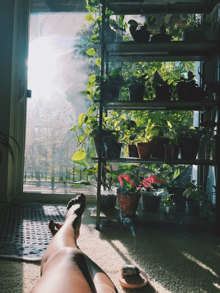 This may contain: a person laying on the floor in front of a window filled with potted plants