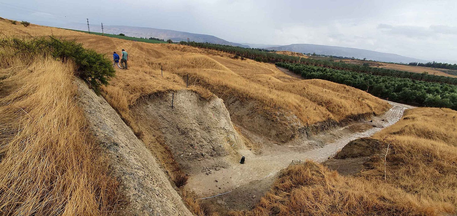 Large exposure of archaeological trenches with grass-covered surroundings