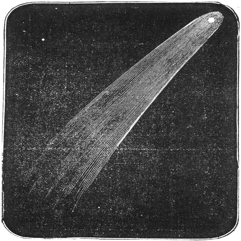 the Perennial Workshop