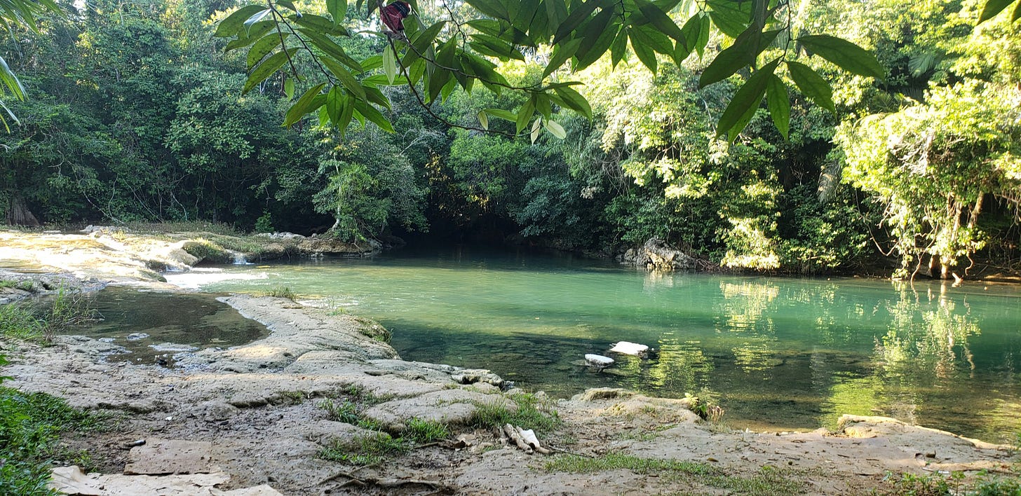 beautiful jungle river in Belize