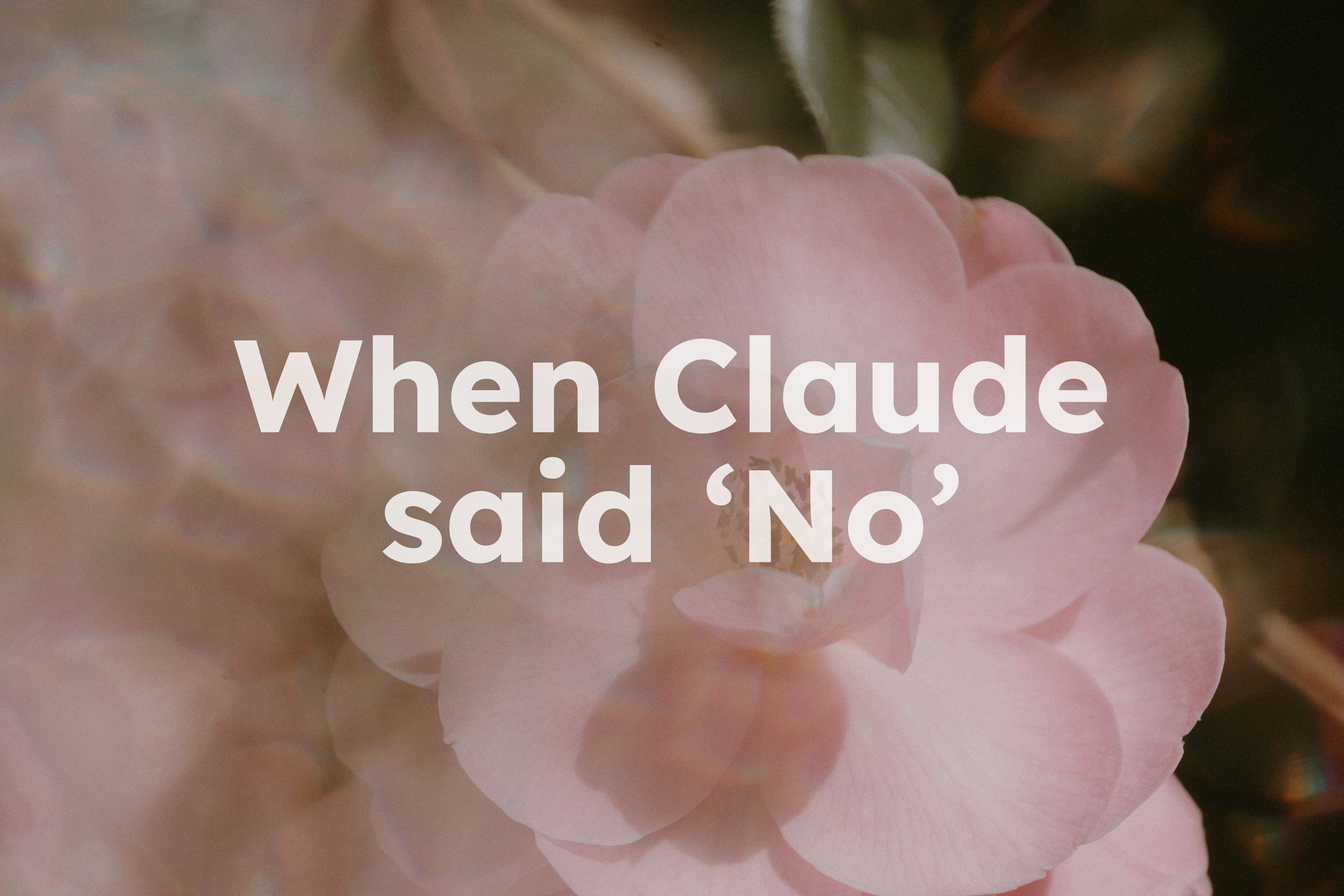 What Happened When Claude Refused to Write for Me