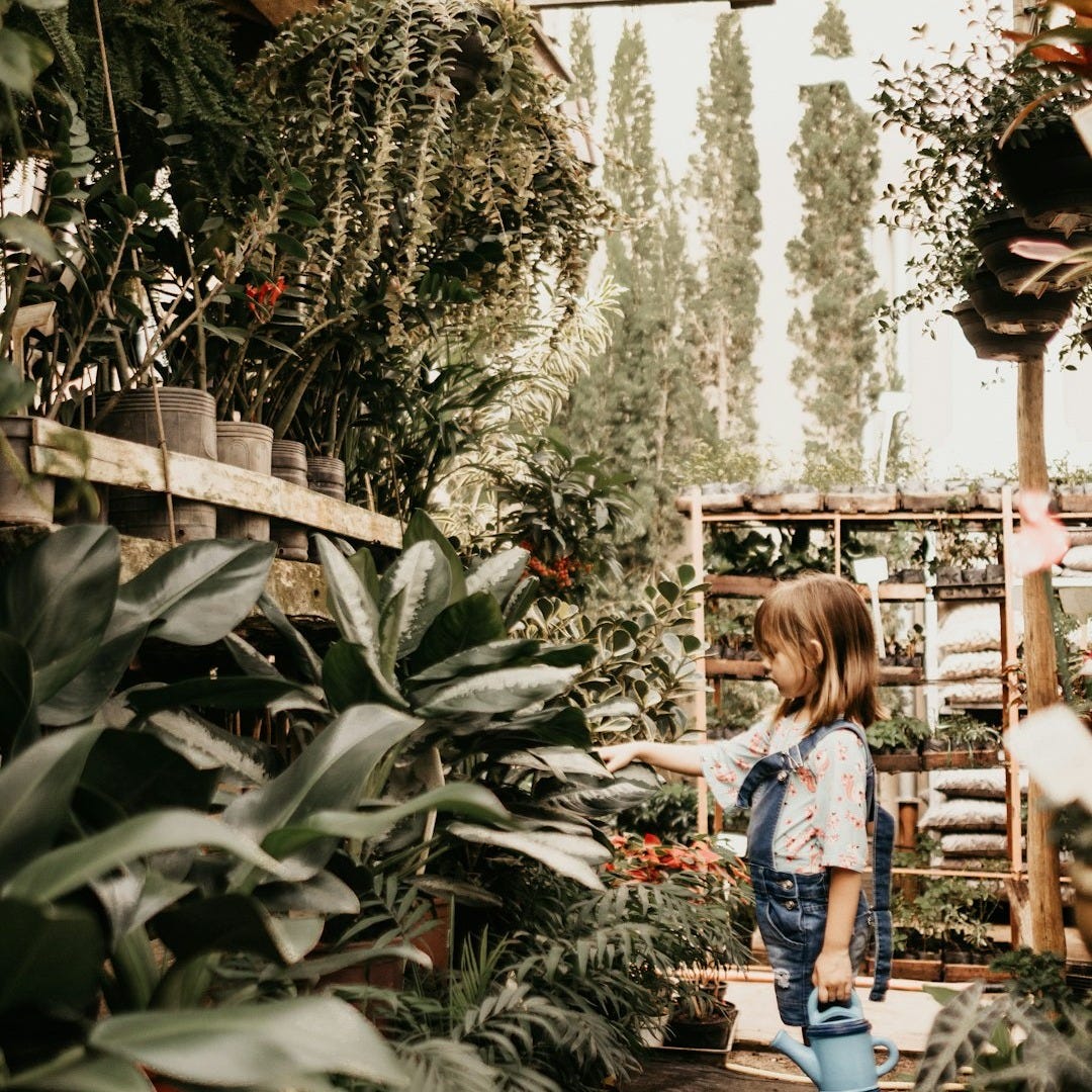 girl holding teal watering can surrounded by plant girl holding teal watering can surrounded by plant