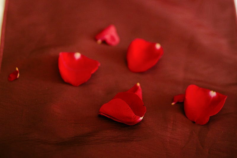 photo of red rose petals photo of red rose petals