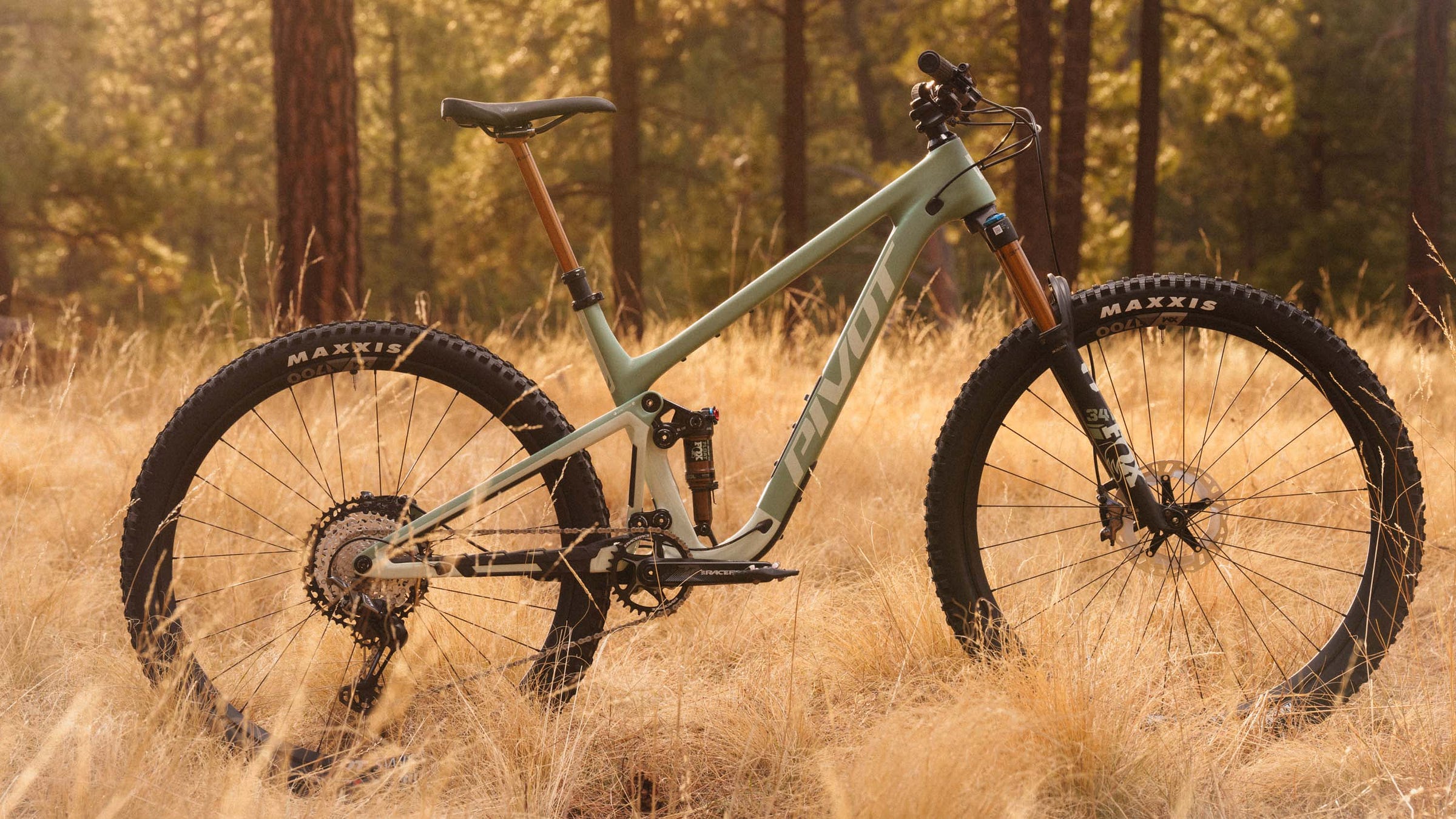 Pivot Trailcat SL Pivot Trailcat SL