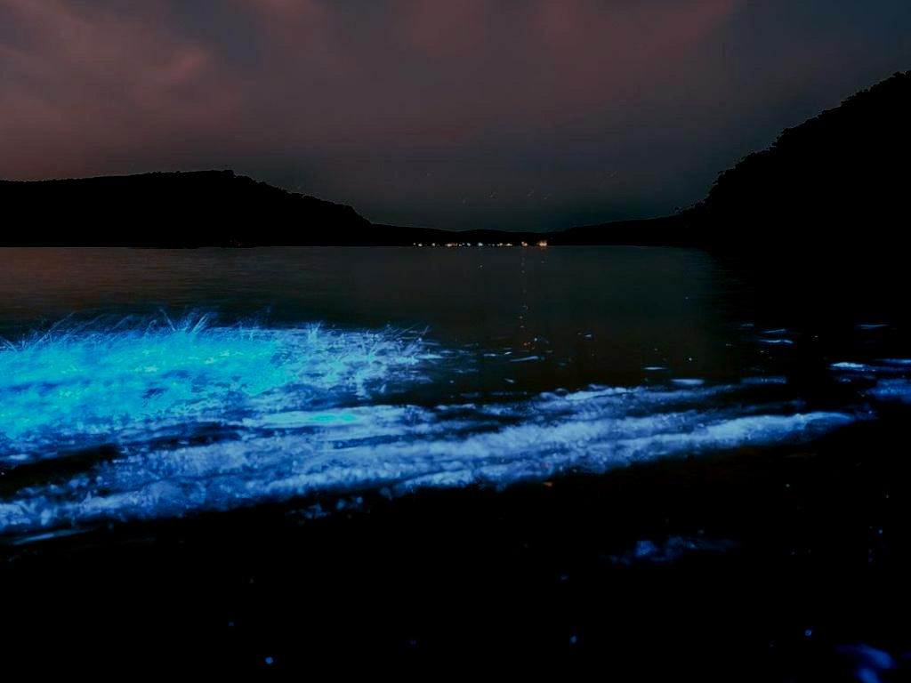 The ocean turned into a sparkling electric blue sight. Picture: Instagram/Jarvis Liu