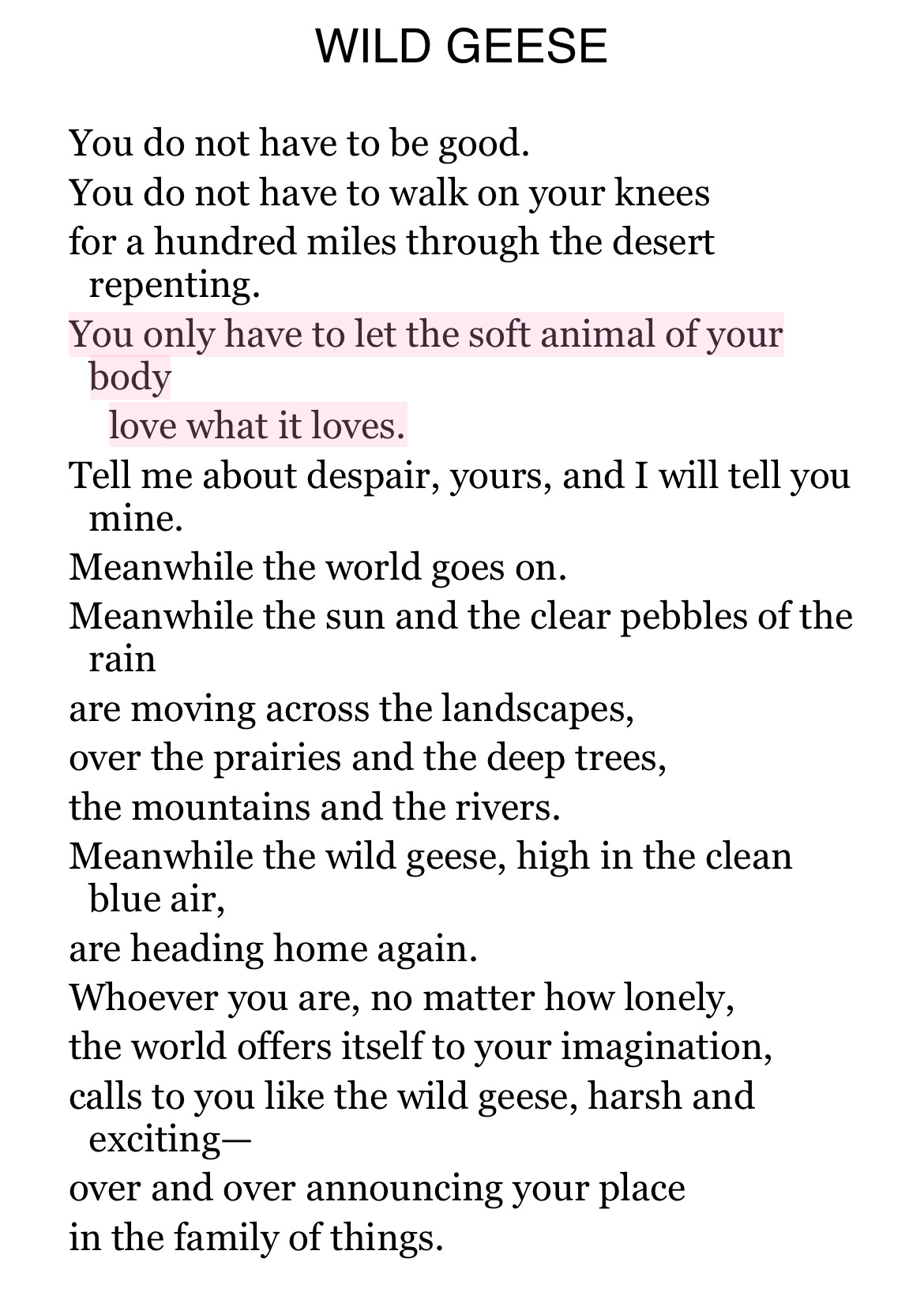  You do not have to be good. You do not have to walk on your knees for a hundred miles through the desert repenting. You only have to let the soft animal of your body love what it loves. Tell me about despair, yours, and I will tell you mine. Meanwhile the world goes on. Meanwhile the sun and the clear pebbles of the rain are moving across the landscapes, over the prairies and the deep trees, the mountains and the rivers. Meanwhile the wild geese, high in the clean blue air, are heading home again. Whoever you are, no matter how lonely, the world offers itself to your imagination, calls to you like the wild geese, harsh and exciting - over and over announcing your place in the family of things.