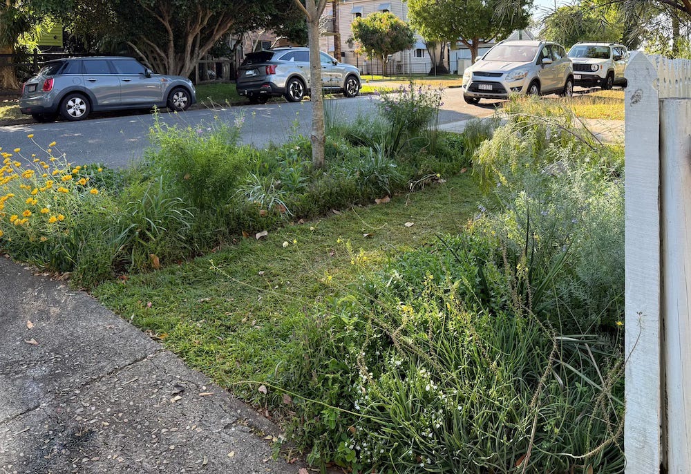 View from the front gate looking out toward the road. Verge garden on right