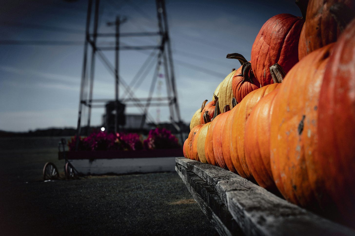 Image of pumpkins arranged in a row with blurred background by Vikram Singh on Unsplash.
