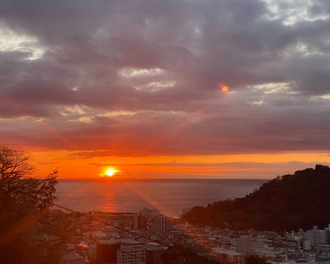 Images of the mountains, the beach, the roads, the people, and the animals of Yugawara.