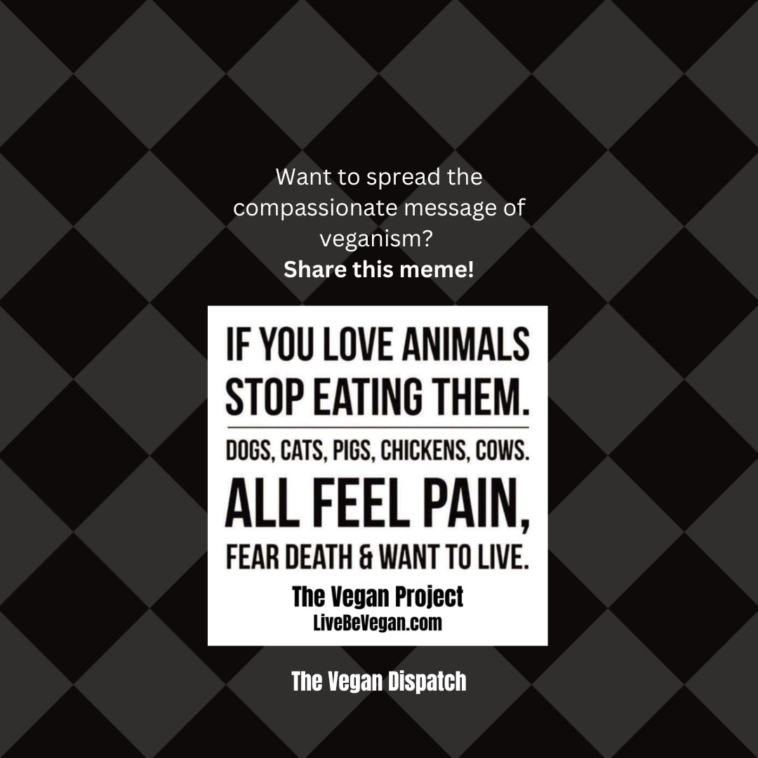If you love animals, consider the impact of your diet. Shifting to plant-based foods is a compassionate choice that respects their lives. Let's align our eating habits with our love for animals. If you love animals, consider the impact of your diet. Shifting to plant-based foods is a compassionate choice that respects their lives. Let's align our eating habits with our love for animals.