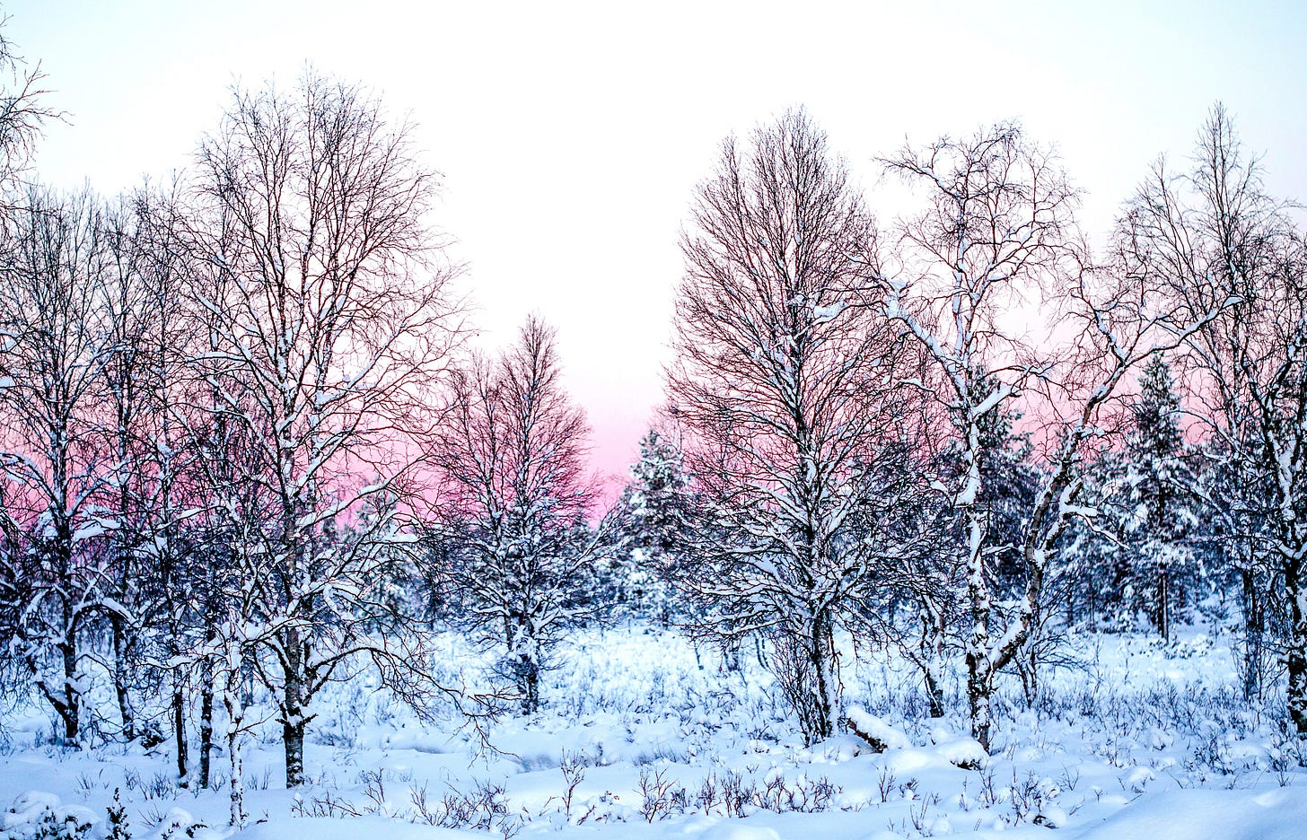 Christiaan Huynen photo Christiaan Huynen photo