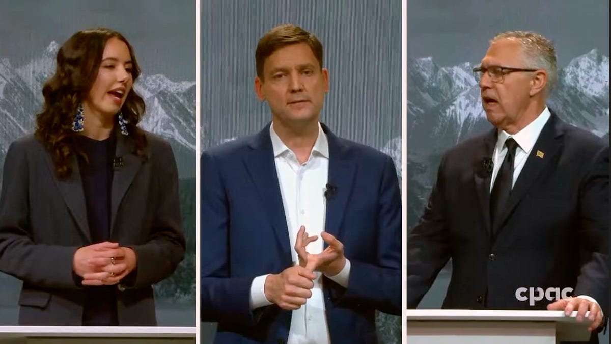 Exclusive: What do B.C.’s three main party leaders own?