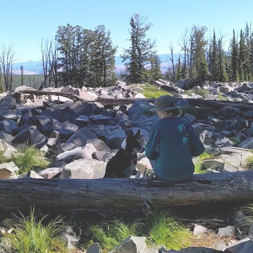 Dog & human sitting together