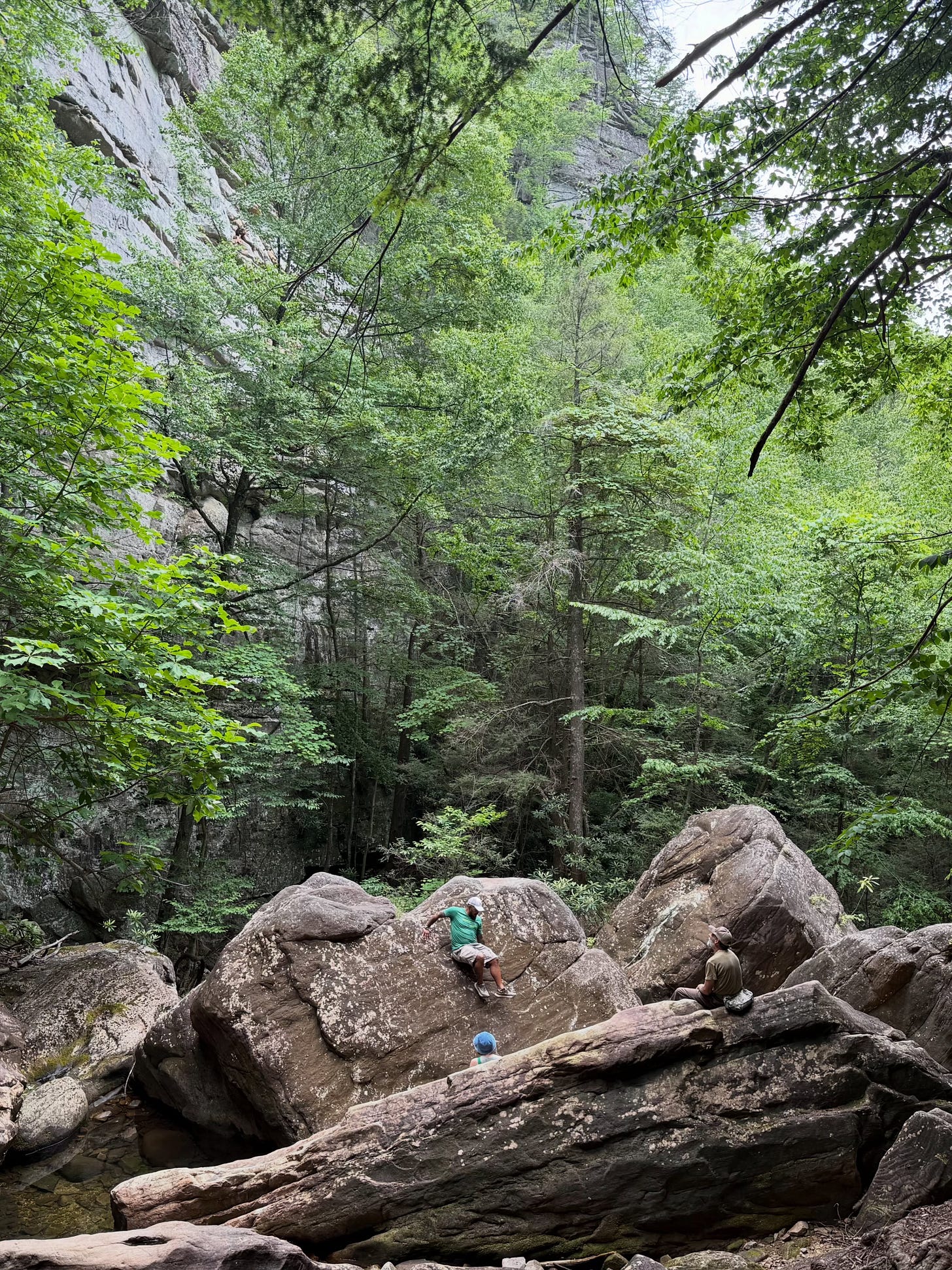 May be an image of climbing