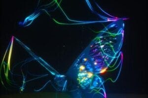 iridescent butterfly image