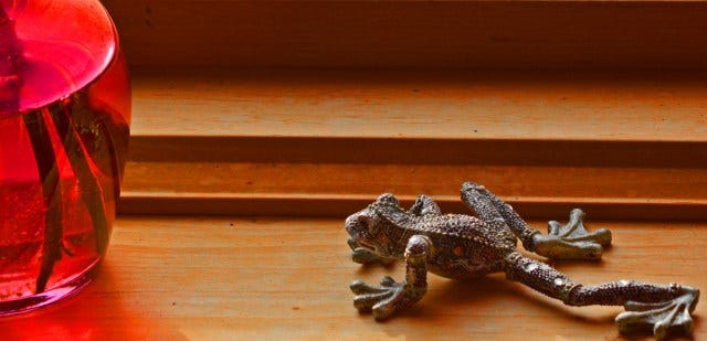 frog and red vase