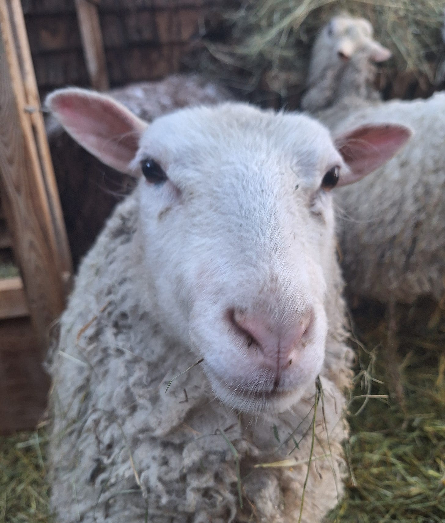 march in maine is no picnic march in maine is no picnic