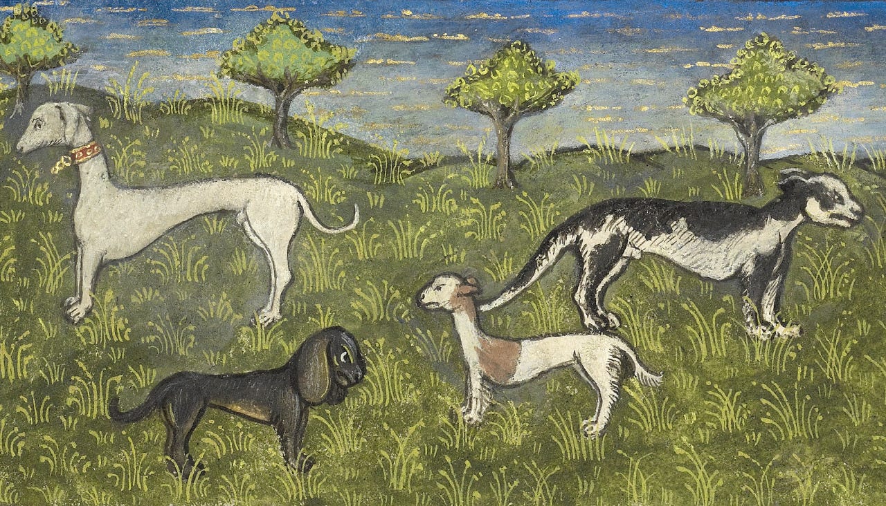 discarding images — hunting dogs Gaston Phoebus, Livre de la Chasse,...