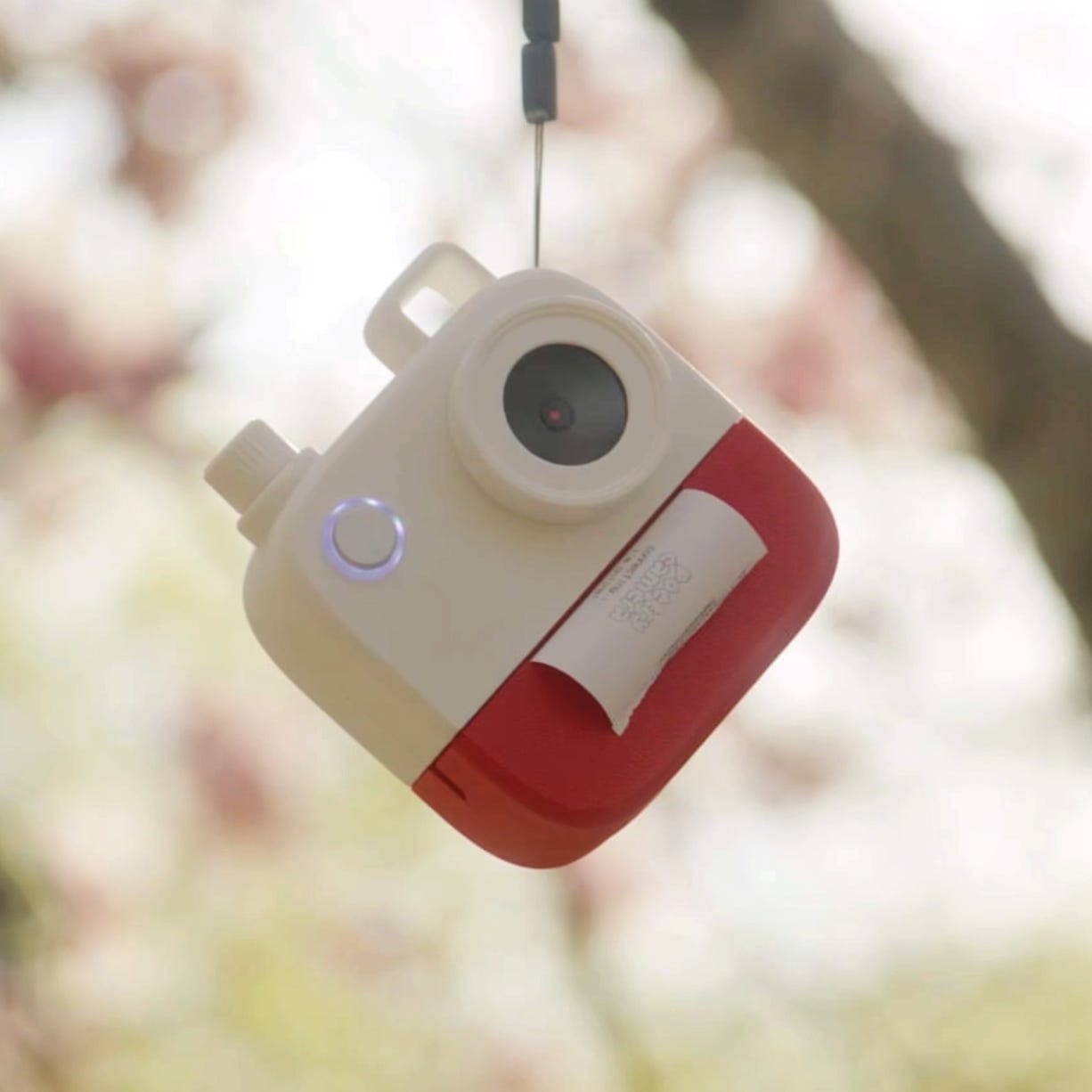 Poetry Camera Limited Edition