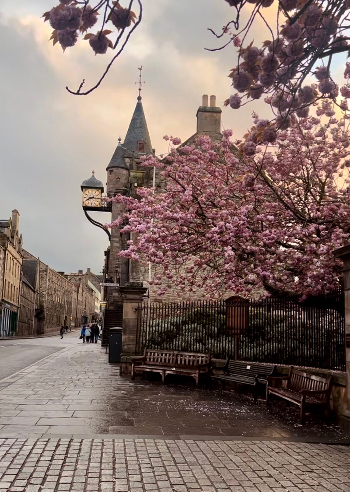 Is Spring a Good Time to Visit Edinburgh? (March–May Guide)