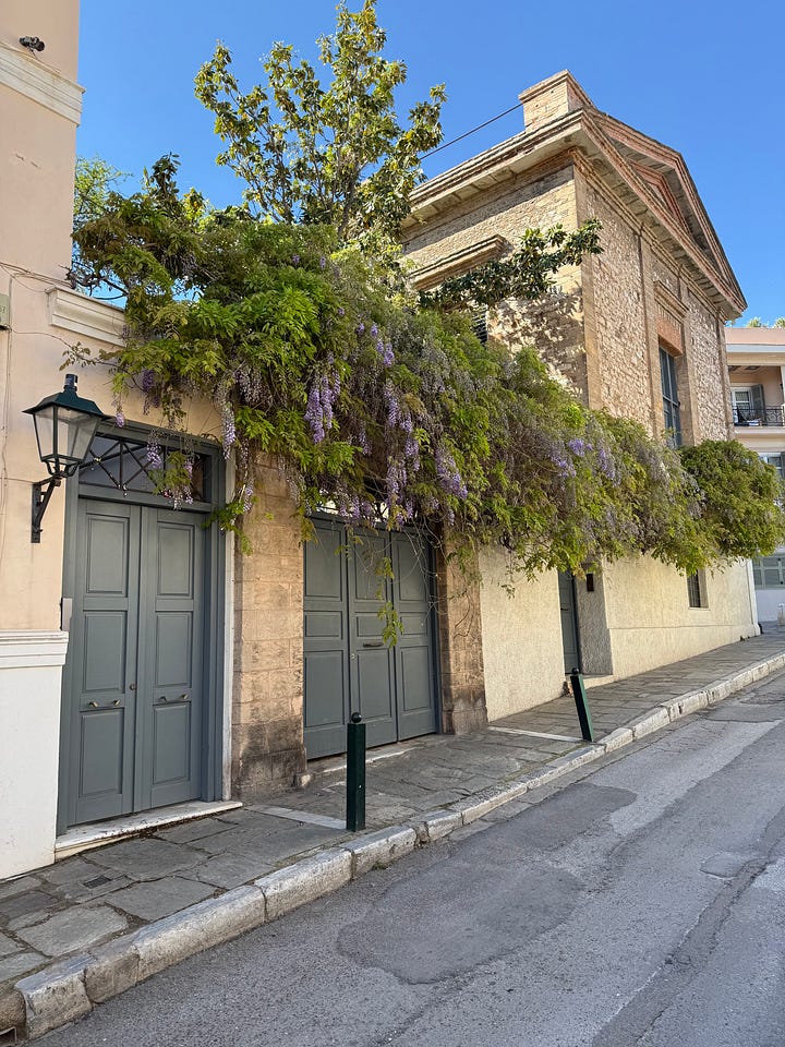 A beautiful home overflowing with wisteria and the local cat greeting passersby as they make their way up to the Acropolis