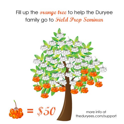 October 2014 Orange Tree October 2014 Orange Tree
